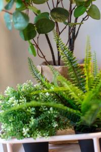 Millbrae Residence - Donnini Apartments