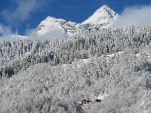 Alte Post mit Geschichte und Restaurant - Trun