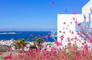 Vencia Boutique Hotel Myconos Greece