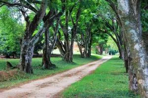 Idle & Wild Chalet - 里士满