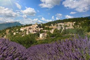 Maisons de vacances GITE LES HORTENSIAS : photos des chambres