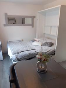 Appartements Studio LE COL DU TOURMALET 2-4 pers linge parking wifi : photos des chambres