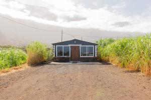 BEAUTIFUL COASTAL HOUSE ON A TRANQUIL ORGANIC FARM