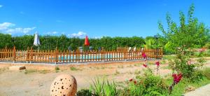 419 Finca Can Olivaret ETV2598 by Mallorca Charme