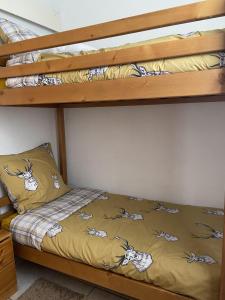 Chalets Chalet Bastilor : photos des chambres