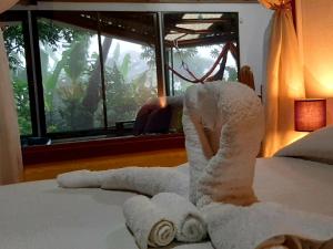 Mountain view Monteverde, Cecropia Paradise