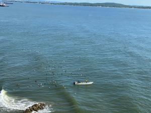 Apartamento Amoblado en Cartagena de Indias