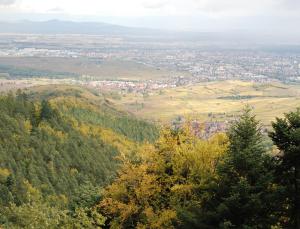 Cottage 1956 - Maison dhôtes