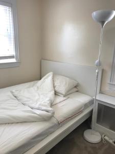 NYZLH长岛Hofstra Universit民宿