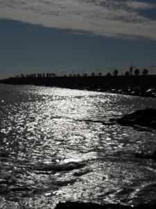 Carolinas aptmt Orihuela