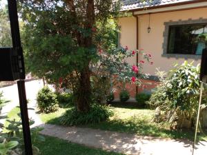 Cantinho do Baianinho