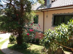 Cantinho do Baianinho