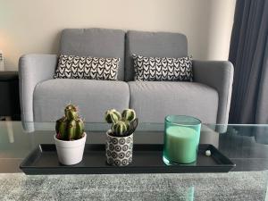 Het perfecte familieappartement voor jong en oud!