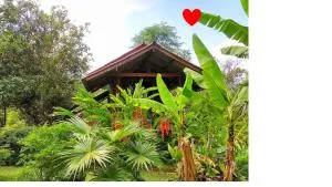Pencave Homestay - Pang Mapha