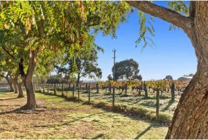 Discovery Parks - Swan Valley