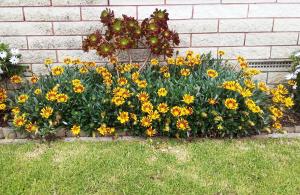 Fantastic Two Bedroom Unit