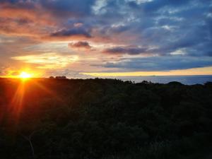 Paraíso en el Caribe