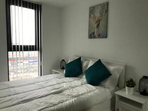 Perfect for work or leisure, this 12th floor apartment near the city centre provides stunning panoramic views of Sheffield