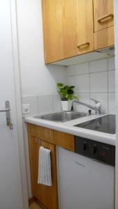 Old Town Charm & Central Location in Rapperswil