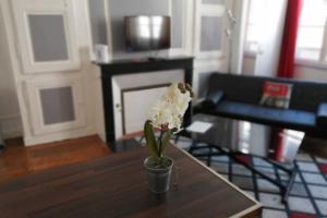 Appartements STUDIO 21 cosy dans le centre de LIMOGES : photos des chambres