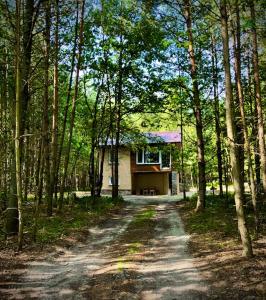 Chata Třeboňsko - rybník Dvořiště - Smržov