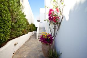 Villa Anna Maria Paros Greece