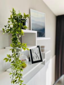 Кs City Living with Free Parking