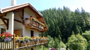 Maisons d'hotes Gite Ancolie Bleue : photos des chambres