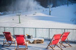Ski IN Ski OUT Hotel Sonnleiten