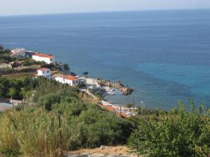 Violetta Seaside Studios&Apartments Samos Greece