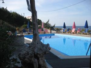 Violetta Seaside Studios&Apartments Samos Greece