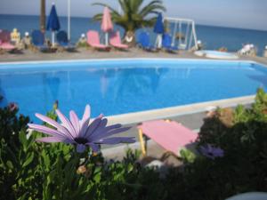 Violetta Seaside Studios&Apartments Samos Greece