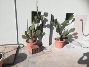 Gorizia vacanze appartamento in villa con parcheggio