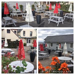 The Steam Inn