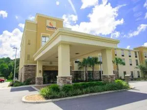 Comfort Suites Dunnellon near Rainbow Springs - Rolling Ranches