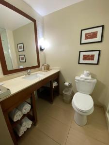 King Suite - Accessible/Non-Smoking room in Comfort Suites Manheim - Lancaster