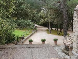 Villas La Boisee, cadre idyllique et reposant pres d'Orange : photos des chambres