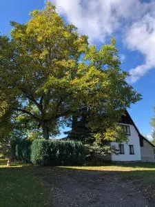 Útulná chaloupka v Krkonoších - Sklenařice