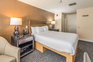 Deluxe Junior Suite - Accessible room in The Carvi Hotel New York Ascend Hotel Collection