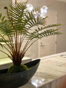 Hotel Venus Garden(Adult Only)