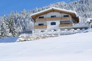 Apart Spitaler - Gerlosberg