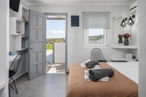 Tsakonas Mandrakia Home