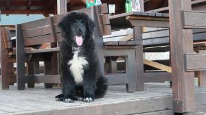 Pensiunea Casa Nostalgia