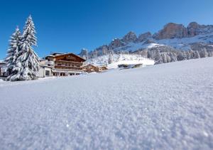Moseralm Dolomiti Hideaway