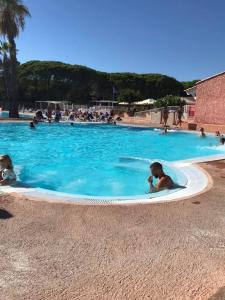 Campings Mobil-home dans Camping L'Oasis 5 etoiles a Puget-sur-Argens : photos des chambres