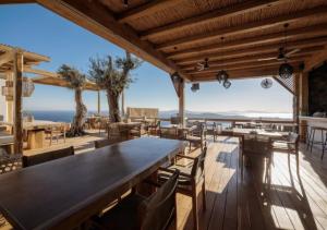 Alissachni Mykonos Myconos Greece