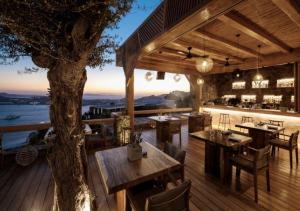 Alissachni Mykonos Myconos Greece