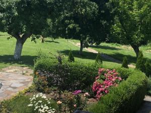 Mountain View Vacation Home