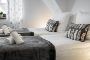 Apartament Klimatyczny w centrum