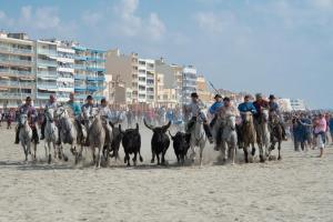 Appartements LES SOLEILLADES Parking 200 metres plage : photos des chambres